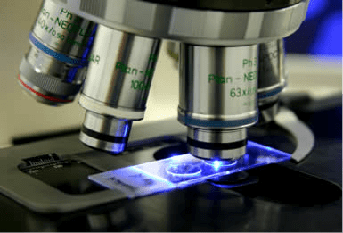 Criminal Justice Technology